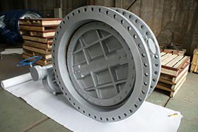 Butterfly Valve