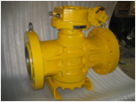 Plug Valve