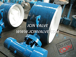 BW Type butterfly valve