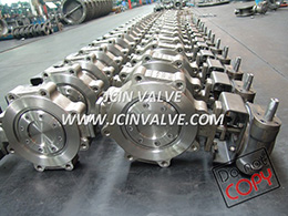 Lug Type Butterfly Valve