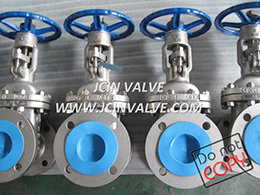 Stainless Steel Gate Valve