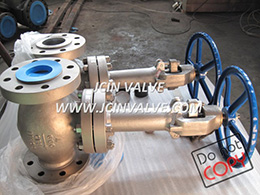 Cryogenic Globe Valve