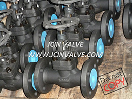 Forged Globe Valve