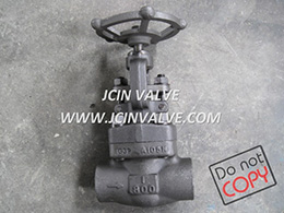 NPT-SW Globe Valve