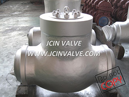 Pressure Seal Check Valve