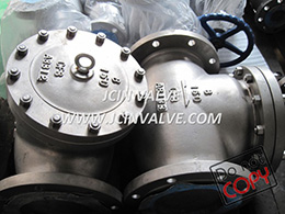 Stainless Steel Check Valve