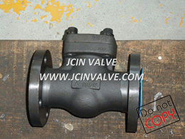 Forged Check Valve