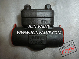 NPT-SW Check Valve